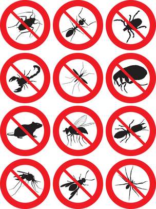 Bed bug pest control Mountain View,Kabete,Ndumbuini,Kinoo image 11