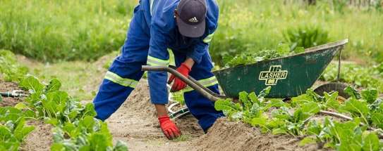Gardeners Recruitment & Outsourcing Services in Nairobi image 3