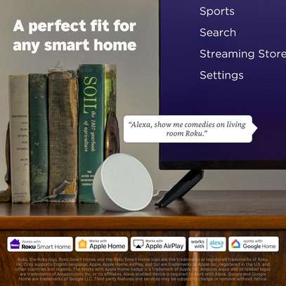 Roku Streaming Stick HD (5th Gen) image 5