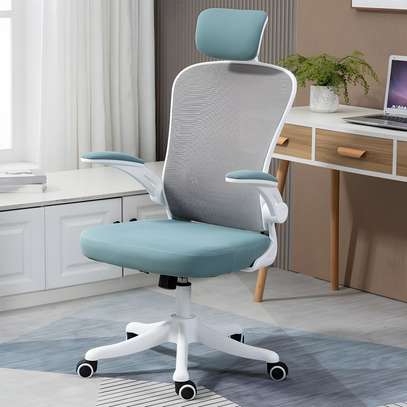 Adjustable Armrest Chair : Executive Elite Office Chair image 2