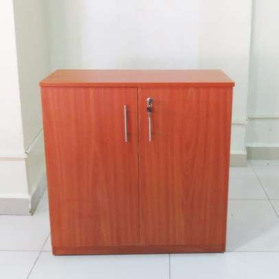 Wooden 2 Door Home Office Storage Cabinet image 3