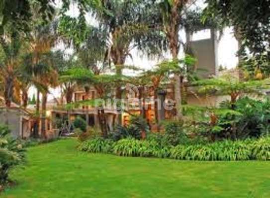Hire Gardeners in Nairobi | Professional, Vetted & Reliable image 4