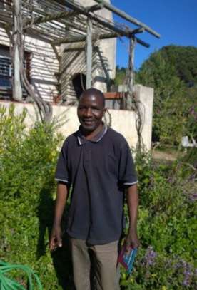 Expert Lawn Mowing & Garden Maintenance Limuru Tigoni image 6