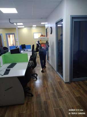 Pest Control and Fumigation Services Juja image 6
