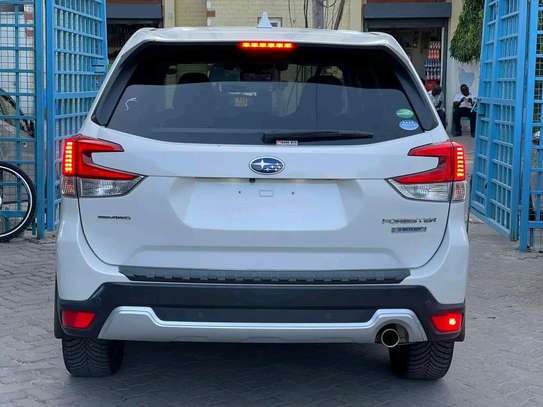 Subaru Forester E-boxer white sunroof 2019 AWD image 14