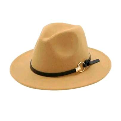 Wide brim Fedora hats image 3