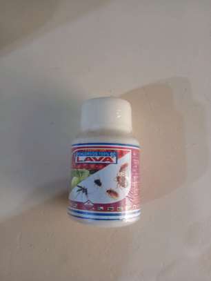 Lava lava insecticide image 3