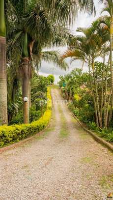 Trusted & Vetted Gardeners Recruitment Agency Kenya image 3