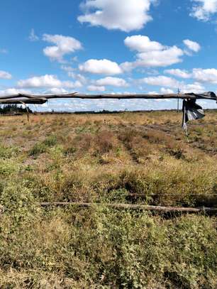 Expansive Rural Land 10 Acres Flat Fertile Soil image 4