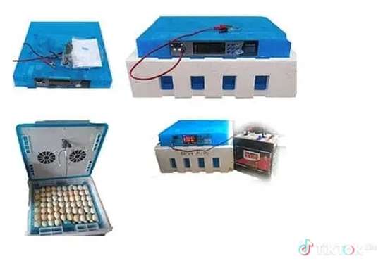 64 eggs incubator image 5