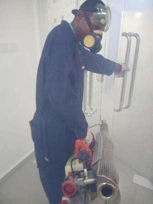 Bed bug pest control Mountain View,Kabete,Ndumbuini,Kinoo image 12