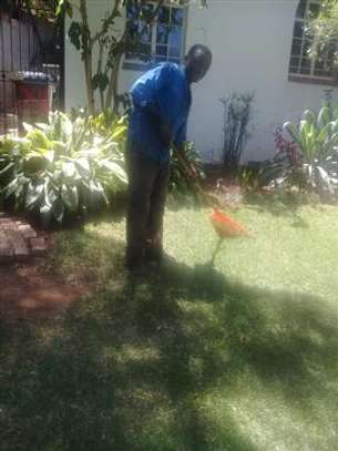 House Managers, Housekeepers, Chefs/Cooks, Estate Managers, Butlers, Chauffeurs/Drivers, Cleaners & Garden Services in Nairobi. image 7
