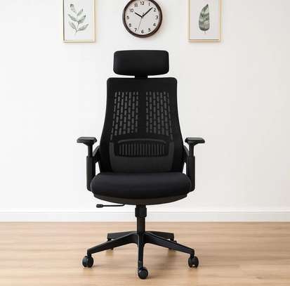 Executive Chairs : Larma Orthopedic Office Chair image 2