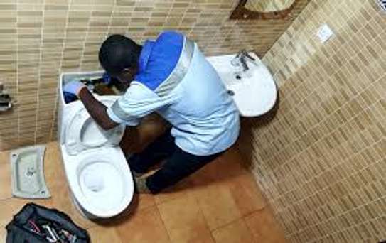 Professional Painters image 2