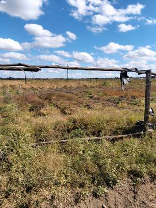 Expansive Rural Land 10 Acres Flat Fertile Soil image 2