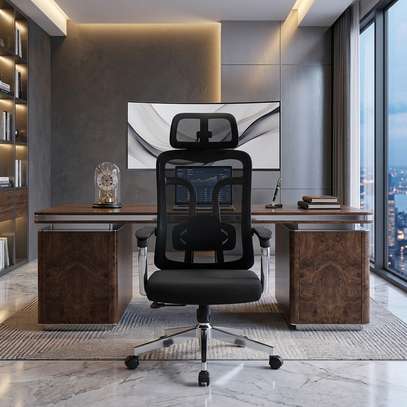 Office Chairs : High-back Ergonomic Office Chair image 4