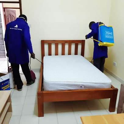 Pest Control and Fumigation Services Garden Estate image 3