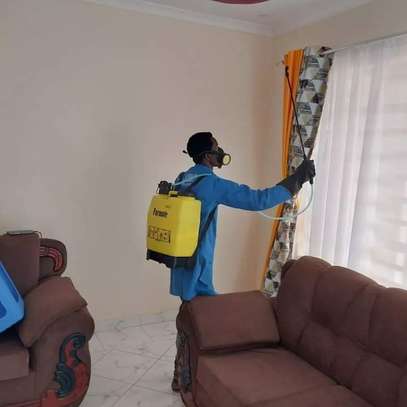 Pest Control and Fumigation Services Thika image 5