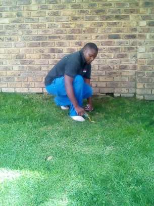 Professional Gardeners for Hire in Thika Town | Call Now image 3