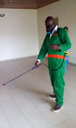 Pest Control and Fumigation Services Gigiri image 6