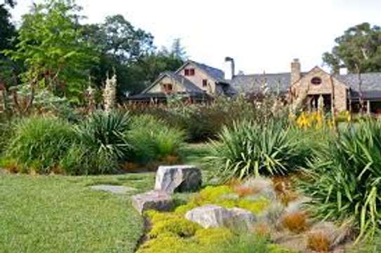 Professional Gardeners for Hire in Ruiru Nairobi image 11