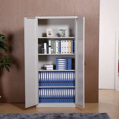Full Door Metallic Cabinet image 5