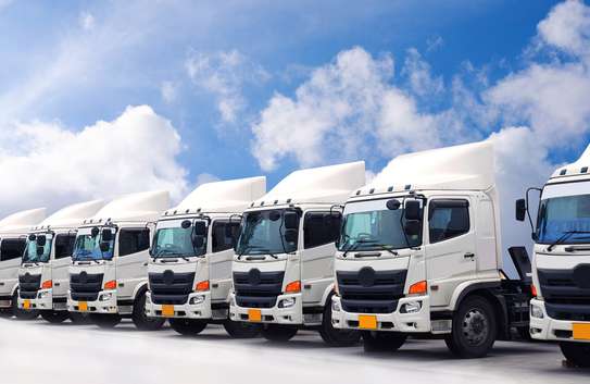 Logistics Staffing & Recruitment Outsourcing | Tilisi image 4