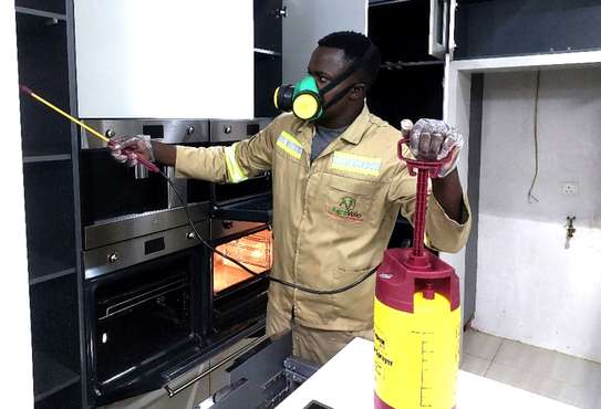 Pest Control & Fumigation Services in Nyeri and across Kenya image 3