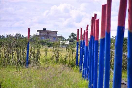 50by100 plot at Joska Malaa image 4