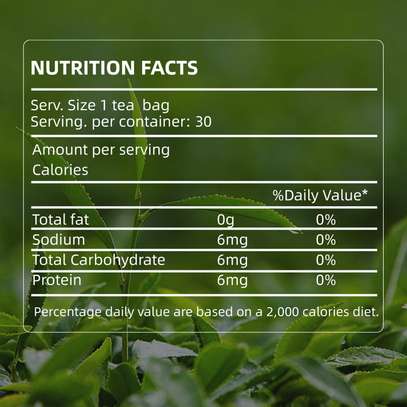BIYODE Green Tea 30 Bags Detox & Digestion Support image 2