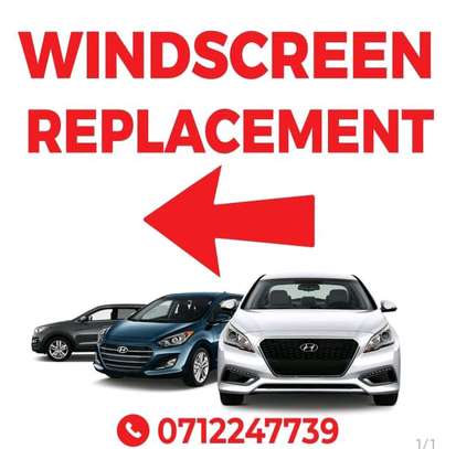 Tinga windscreen image 5