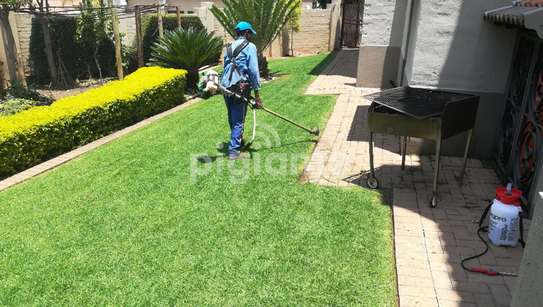Hire Gardeners in Nairobi | Professional, Vetted & Reliable image 3