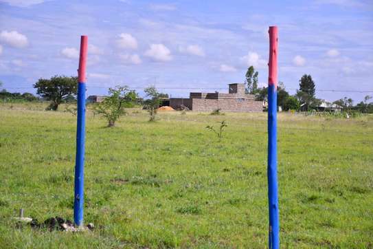 50by100 plot at Joska Malaa image 6