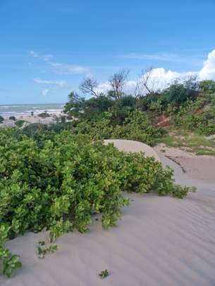 Malindi beachside plots — 50×100 ft. From KES 2M per plot image 8