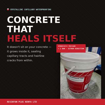 Brushbond TGP  Waterproofing image 2