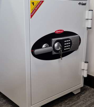 122KGS Diplomat Fireproof Safe image 3