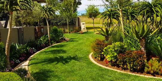 Professional Gardeners for Hire in Ruiru Nairobi image 12