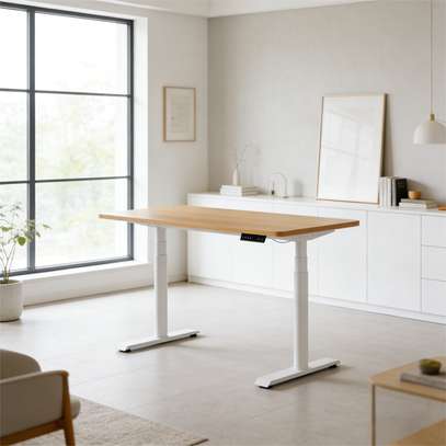 Standing Desks : Adjustable Electric Standing Desk image 5