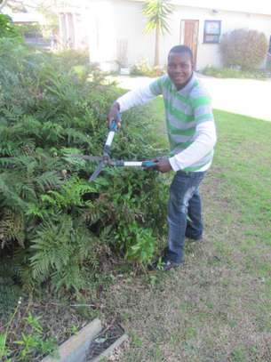 Landscaping & gardening services in Nairobi | Give us a call today. image 8