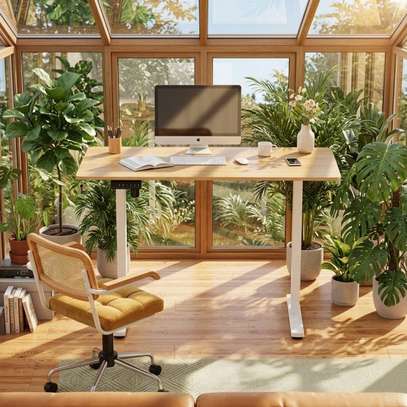 Standing Desks:Electric Adjustable Standing Desk In Suneka image 2