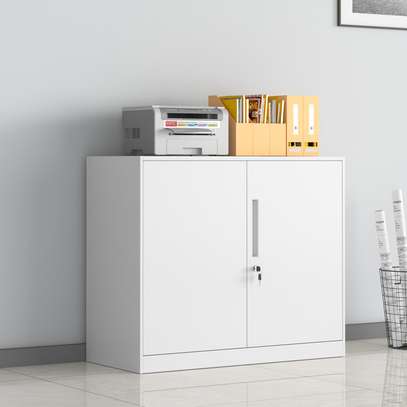 Office Cabinet: 2-Door Office Cabinet In Gesima image 8