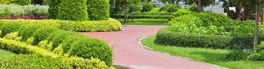 Landscaping & Gardening Services Kitisuru image 6