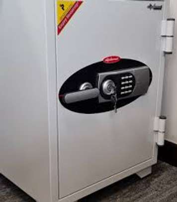 122KGS Diplomat Fireproof Safe image 5
