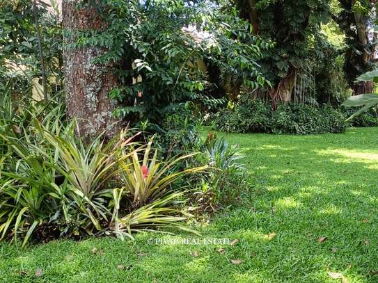1.2 ac Land in Runda image 4