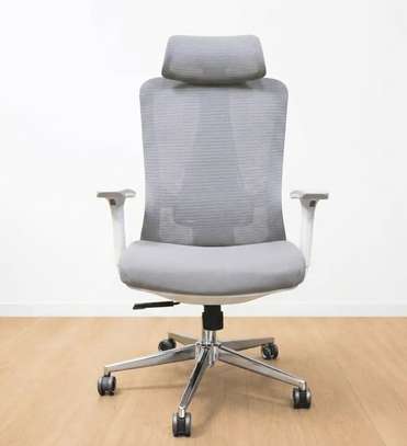 Executive Chairs : Orthopedic Executive Office Chair image 4