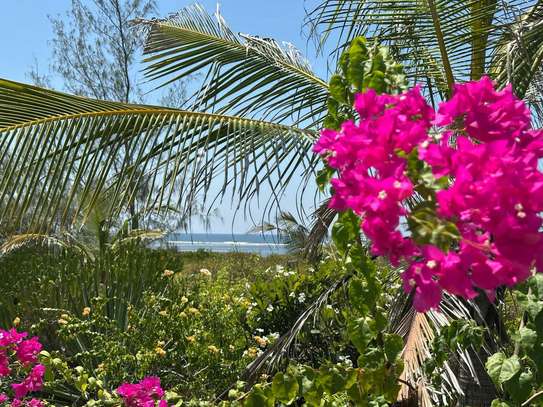 4 Bed Villa with En Suite at Watamu image 12