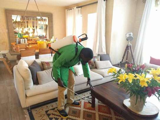Pest Control and Fumigation Services Garden Estate image 4