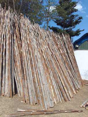 Makuti roofing construction and supply image 2