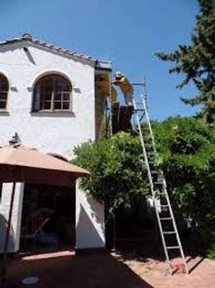 Professional Painting & Interior Decor image 2