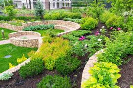 Landscaping & Gardening Services Kitisuru image 9